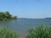Jezero Chiemsee